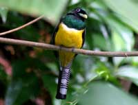 Drake Bay, Costa Rica - Explore Corcovado National Park on a guided tour.