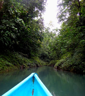Rio Claro, Drake Bay, Costa Rica